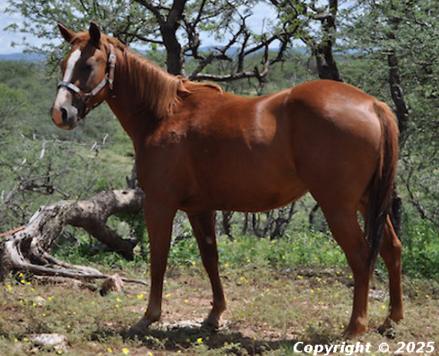 Loading...